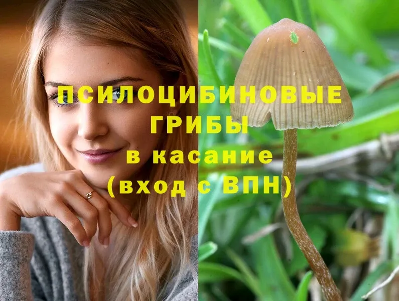 купить наркотик  Пятигорск  Псилоцибиновые грибы MAGIC MUSHROOMS 